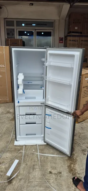 Wonderful and Strong Nexon Bottom Freezer Available for Sale