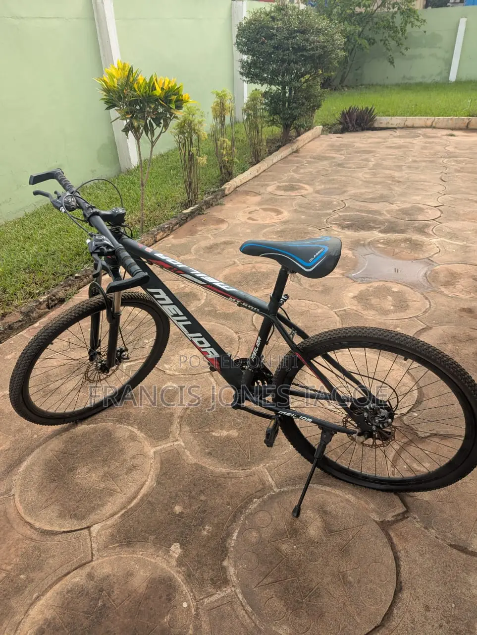 Bicycle - Meilior Standard