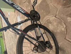 Bicycle - Meilior Standard