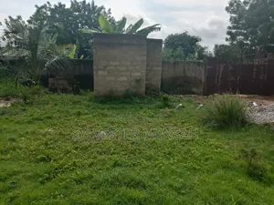 Plot With Building