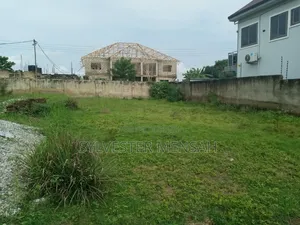 Plot With Building