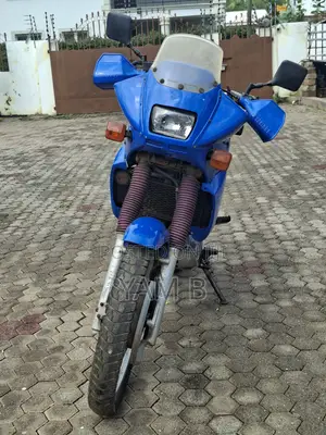 Yamaha FZ 1996 Blue