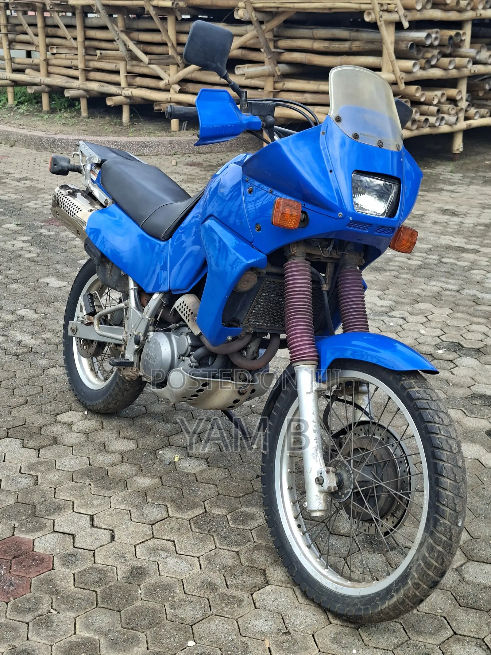 Yamaha FZ 1996 Blue