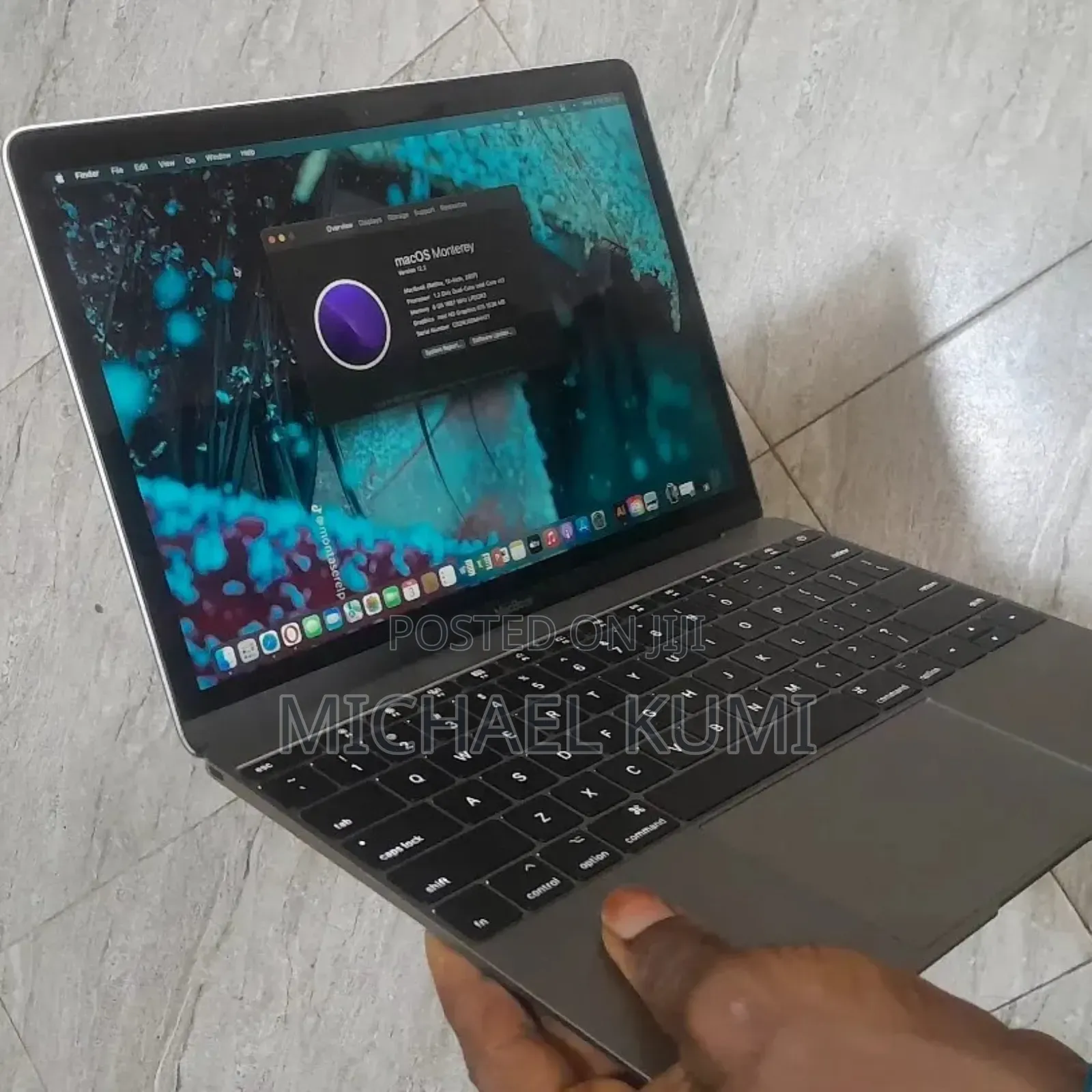 Laptop Apple MacBook 2017 8GB Apple M3 SSD 256GB
