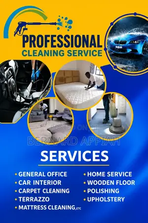 Professional Cleaning Service
