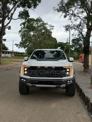 Ford F-150 Raptor 4x4 SuperCrew Cab Styleside 5.5 ft. box 145 in. WB