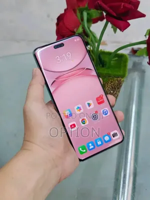 New Huawei nova 12 256 GB Gray