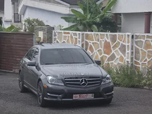 Mercedes-Benz C250 2013 Gray