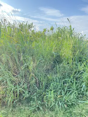 Half Plot of Land for Sale