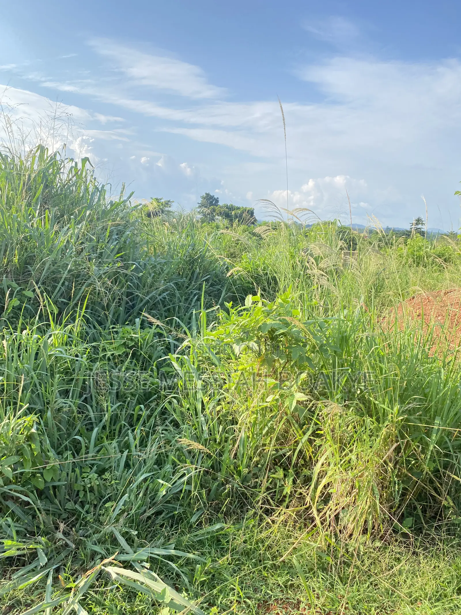 Half Plot of Land for Sale