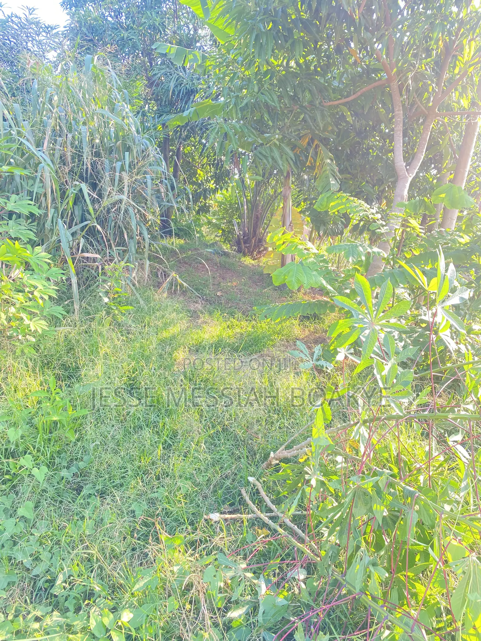 Half Plot for Sale at Ejisu Ampabame