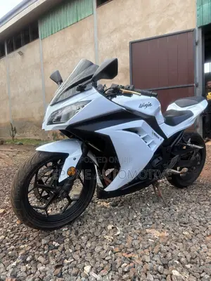 Kawasaki Ninja 300 2014 White