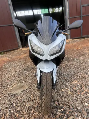 Kawasaki Ninja 300 2014 White