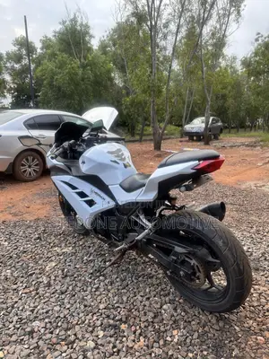 Kawasaki Ninja 300 2014 White