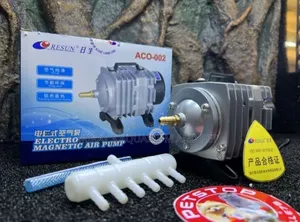 Electronic Magnetic Airpump