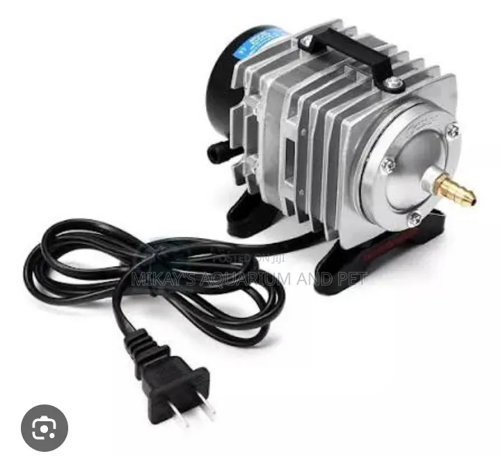 Electronic Magnetic Airpump