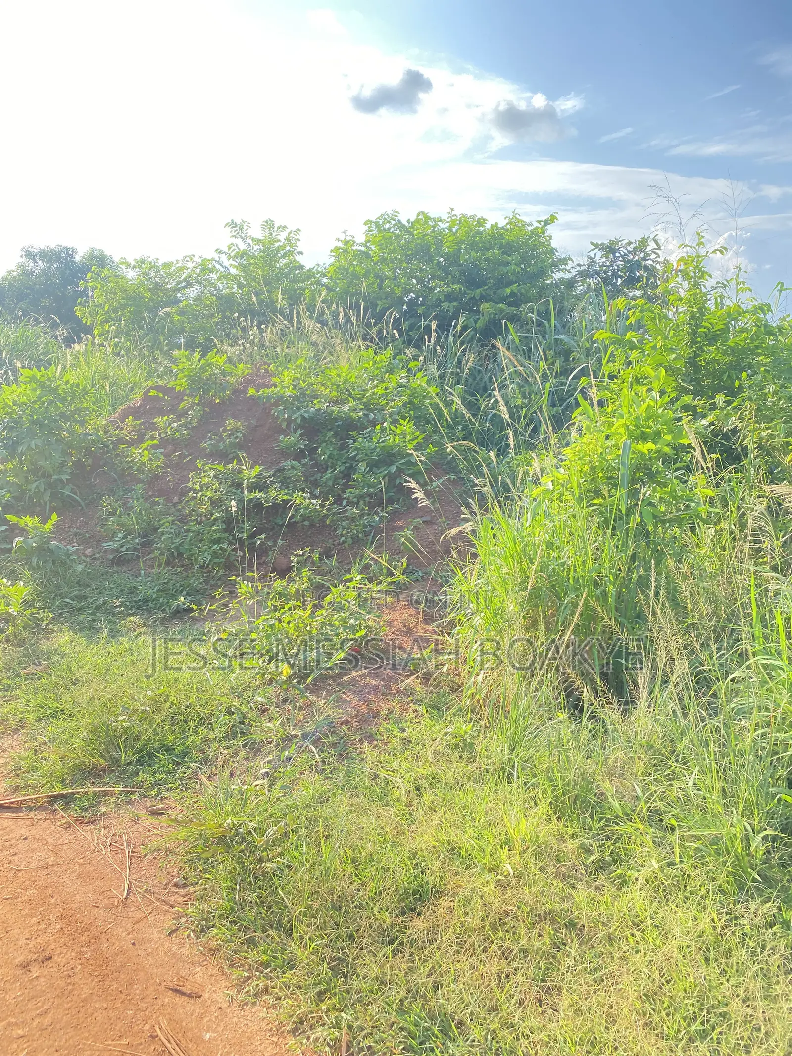Well Demarcated Land for Sale
