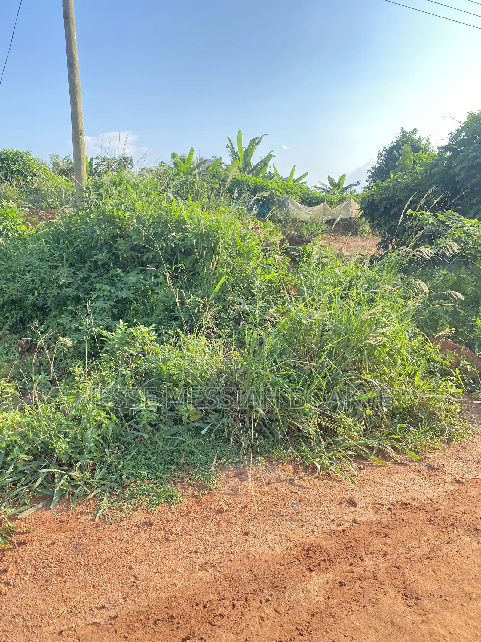 Well Demarcated Land for Sale