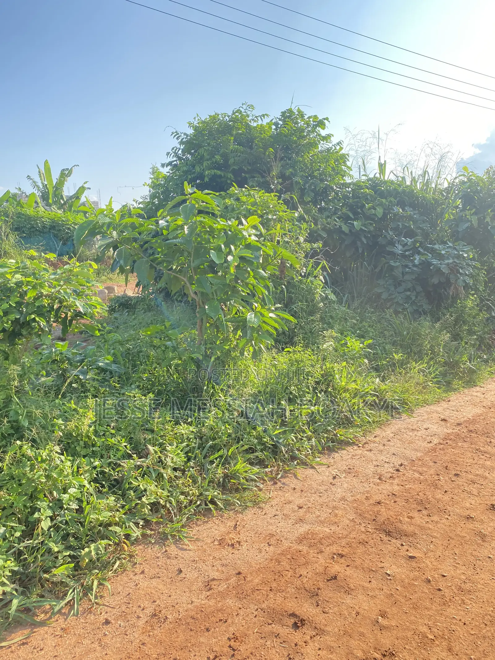 Well Demarcated Land for Sale