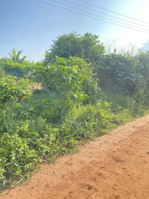 Well Demarcated Land for Sale