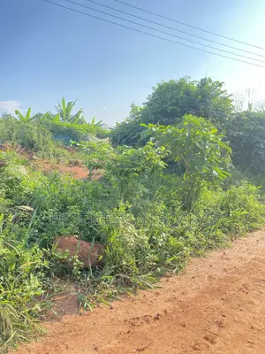 Well Demarcated Land for Sale