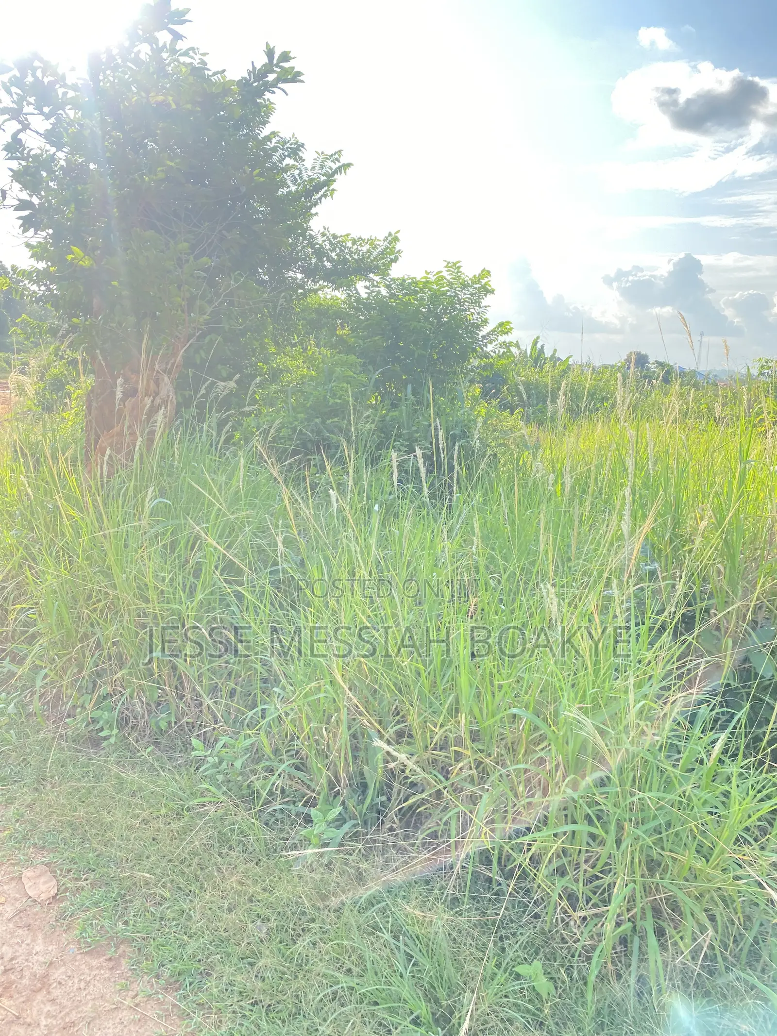 Roadside Land for Sale