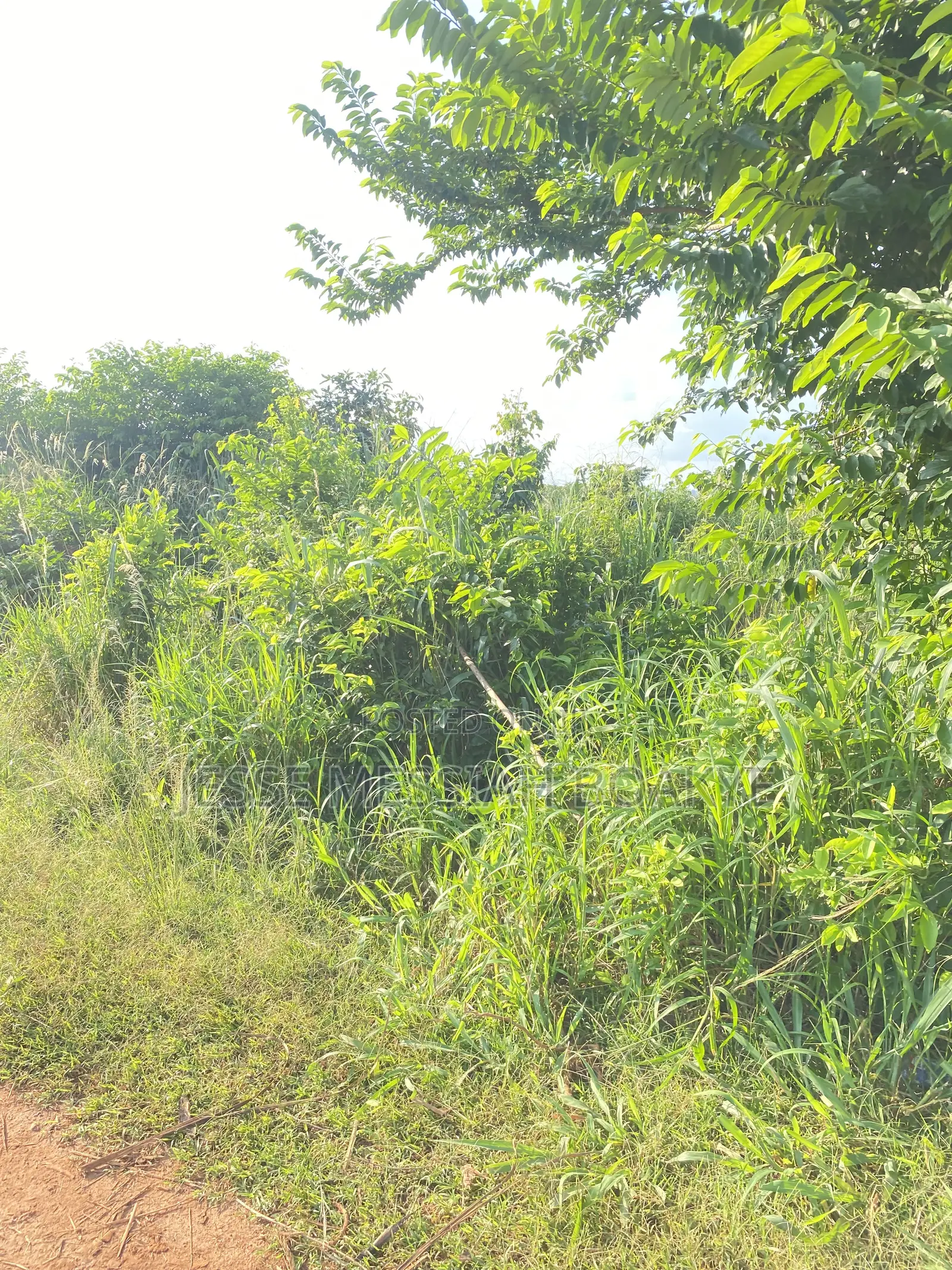 Roadside Land for Sale