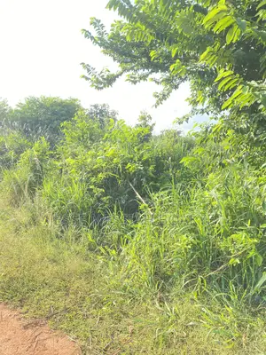 Roadside Land for Sale