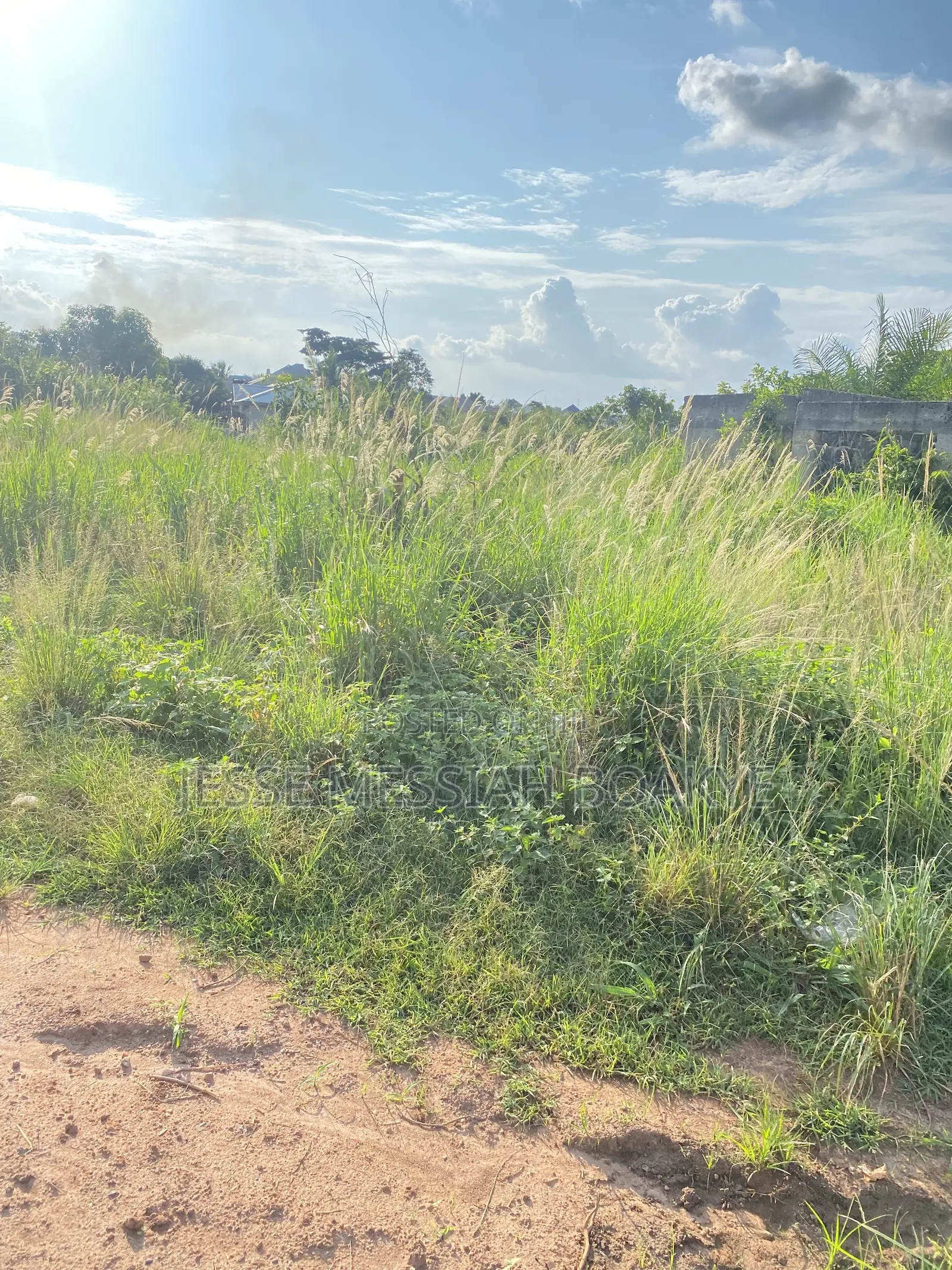 Roadside Land for Sale