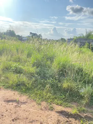 Roadside Land for Sale