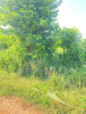 Roadside Land for Sale