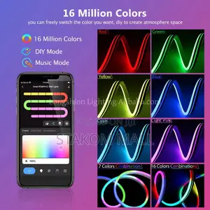 Led-Neon Light - 5 Meters
