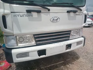 Unregistered Hyundai Truck
