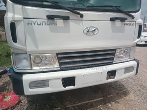 Unregistered Hyundai Truck