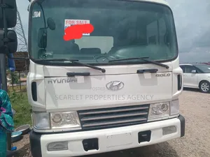 Unregistered Hyundai Truck