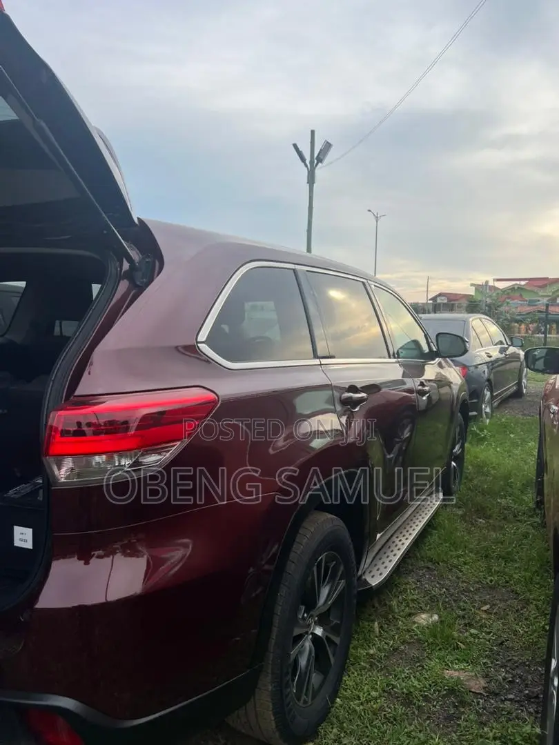 Toyota Highlander 2019 Brown