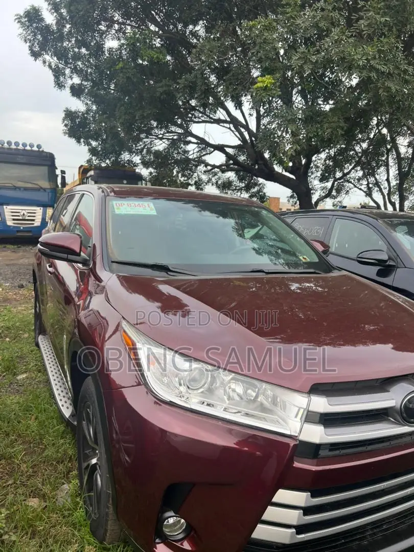 Toyota Highlander 2019 Brown