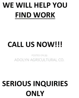 Job Placement