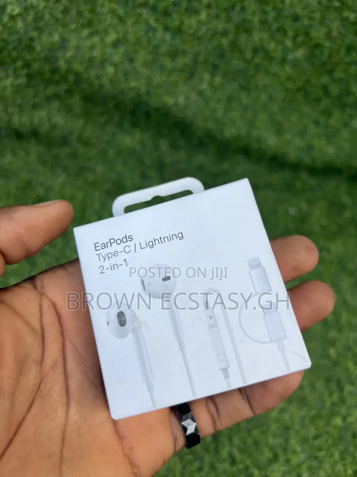 2 in 1 Type C/Lightning Earpiece