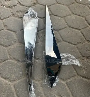 Hyundai Elantra Front Bumper Side Trim Moulding Chrome 2021 2022 2023