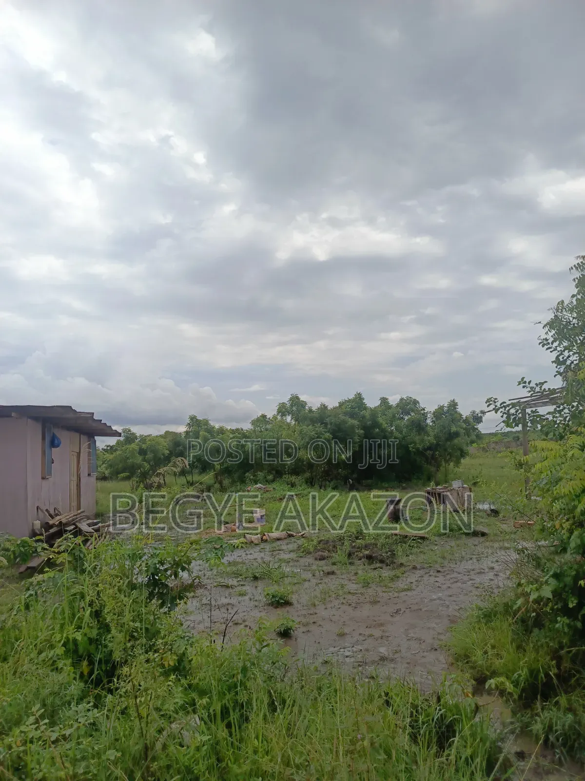 25 Acres Farm Land at Kintapo for Sale