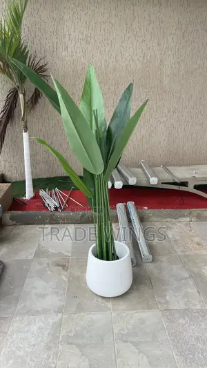 Artificial Flower and Flower Pots