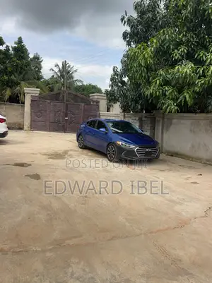 Hyundai Elantra Sport 2018