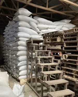 Industrial-Grade Raw Tigernuts for Processing