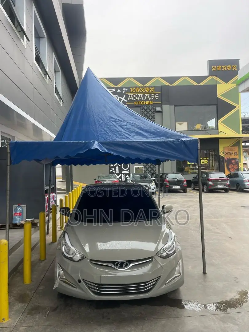 Hyundai Elantra 2012 Gray