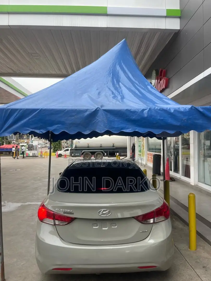 Hyundai Elantra 2012 Gray