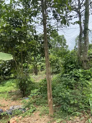 Investment Land Forsale at Adunku