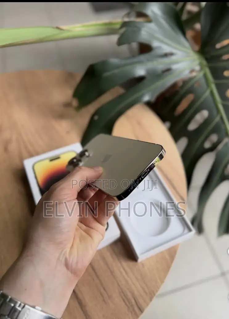 Apple iPhone 14 Pro Max 256 GB Gold