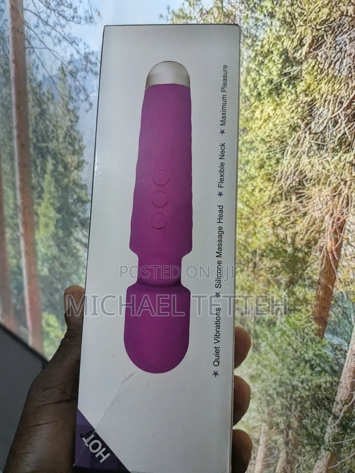 Vibrator or Clitoral Stimulator (Magic Wand)