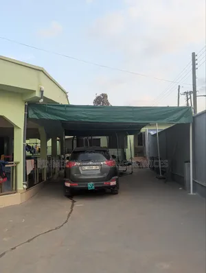 Durable Canopy for All Occasions